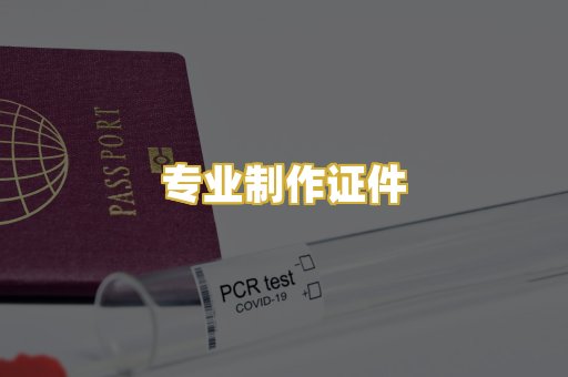 专业制作证件